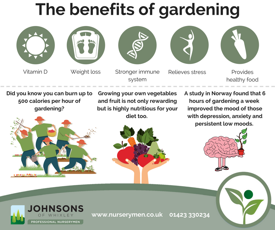 The benefits of gardening to your health
